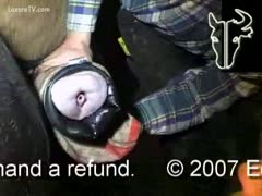 Taking a massive facial cumshot from a horse as an amateur